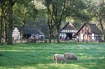 Museumshof Rahden - Bauerngehöft mit Geräten und Nebengebäuden