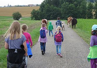 Natur extrem gemütlich, Kräuter- und Naturwanderungen